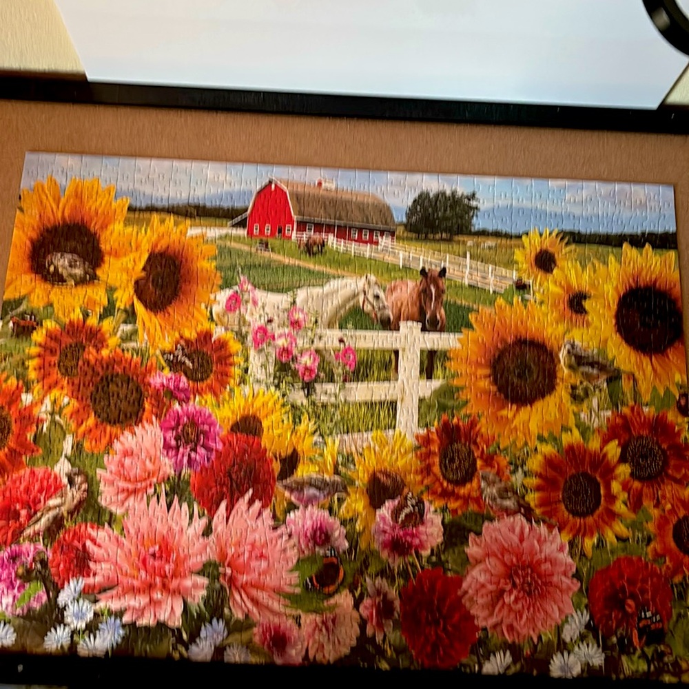 Cobble Hill Sunflower Farm 1000 Piece Puzzle